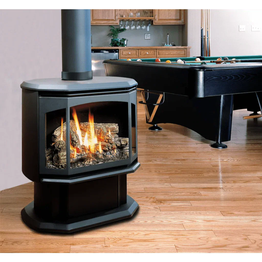 Premium Kingsman 27" Free Standing Direct Vent Gas Stove - FDV350