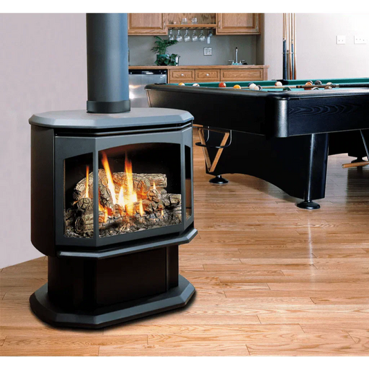 Premium Kingsman 27" Free Standing Direct Vent Gas Stove - FDV350